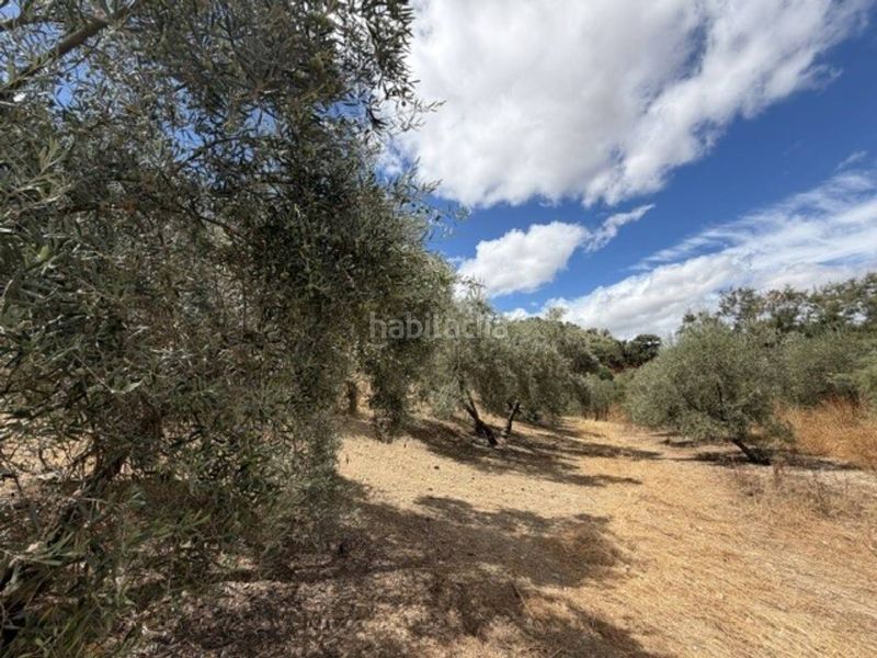 Foto b5244614-f42a-481c-8b80-85eda90b5f8b. Finca rústica a Jauja Lucena