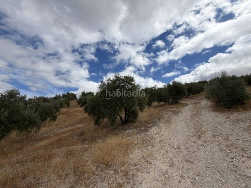 Foto e900fc7d-71d4-4099-9b26-8cd29b665a14. Finca rústica a Jauja Lucena
