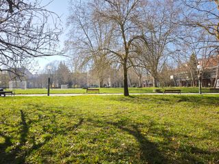 Pis a Zendaguren Kalea