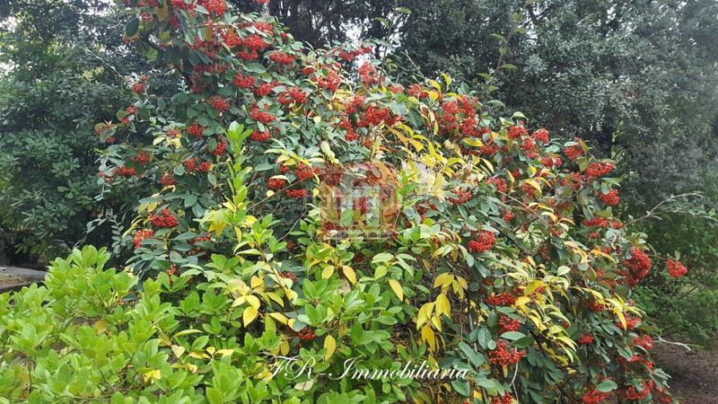 Foto 6779370e-77c5-4242-9fb1-7e8b3d8514c3. Chalet mit heizung parking pool in Sentmenat