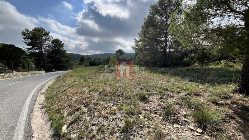 Foto fc3e41f7-0d62-4e41-832e-e7fca7c695d2. Residential plot in Querol