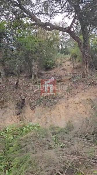 Foto 6a75682b-3106-4dab-9166-51f69555efae. Terreno residencial en del pas 19 terreno en Lloret Blau - La Creu de Lloret Lloret de Mar