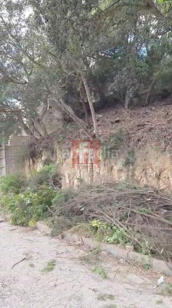 Foto 79983689-68c8-4952-b46e-1f319bb75424. Terreno residencial en del pas 19 terreno en Lloret Blau - La Creu de Lloret Lloret de Mar