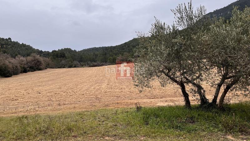 Foto 59dc11d7-08e8-4afe-b139-99fb916ed89a. Masía casa en Montblanc