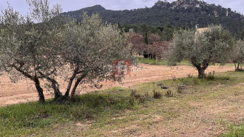 Foto 831fc4fc-a9aa-4dd5-9ea1-1a64f18e1a2c. Masía casa en Montblanc