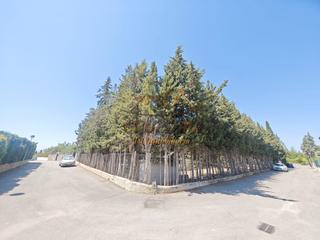 Terrain résidentiel à Urbanización bétula 46