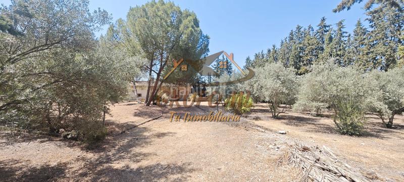 Foto 2aec098b-7d30-4bfa-afc7-0628ae88e063. Terreno residenziale in urbanización bétula 46 in Úbeda