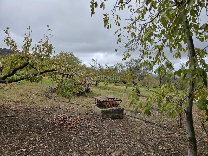 Foto 0107bb6f-7e79-4453-bead-2191c7f9cdba. Masía en Torres