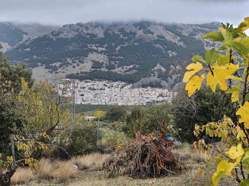 Foto 2593300c-4204-4f9b-90cb-6cb0c0ad0c86. Masía en Torres