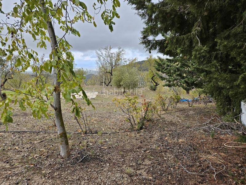 Foto 5d183ce6-26d5-47f0-8f0b-6760d2989105. Masía en Torres