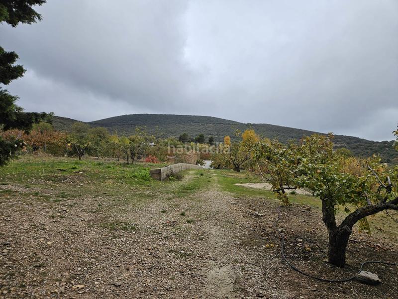 Foto 6da69955-3b06-49d0-87e0-57c17dd9ad5e. Masía en Torres