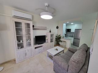 Affitto Piccolo appartamento in Avenida de antonio pascual acosta 15. Apartamento recién reformado