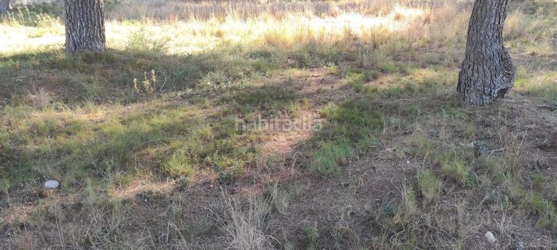 Foto 152aa32a-6ef6-4aa5-82a8-bf060ae07345. Terreno residencial en Mas Trader-Corral d´En Tort-Corral d´En Cona Cubelles