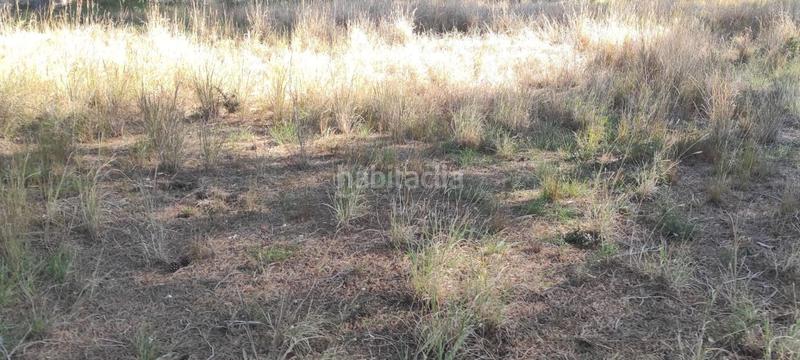 Foto 2c59b04d-1364-4e54-86f7-947e69b6bef9. Terreno residencial en Mas Trader-Corral d´En Tort-Corral d´En Cona Cubelles