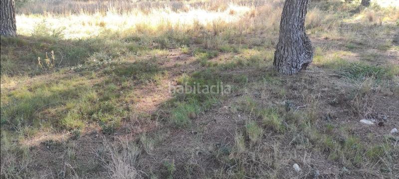 Foto 2d02e6c9-75c3-45b2-ae3c-349351340c09. Terreno residencial en Mas Trader-Corral d´En Tort-Corral d´En Cona Cubelles