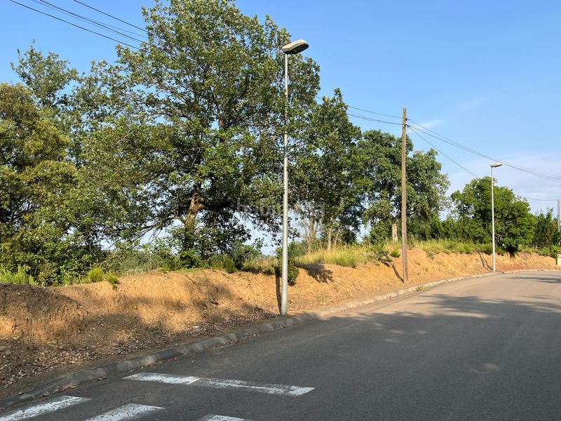 Foto e14ce314-b70e-4ae7-ad19-a539717a7a63. Terreny residencial a carrer del baix penedès 221 a Bescanó