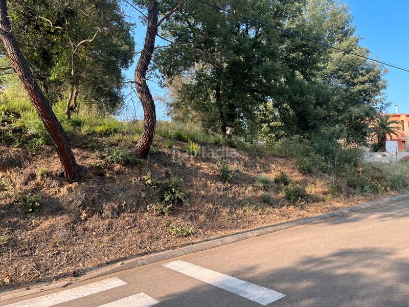 Foto 809c6eff-488e-41fa-af3e-82a3def5a7e1. Terreno residenziale in carrer del barcelonès 763 in Bescanó