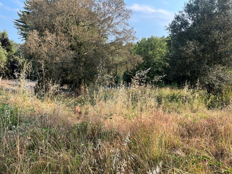 Foto c19a6bff-c568-4e90-a3de-6936a22916ee. Terreno residenziale in carrer del barcelonès 763 in Bescanó