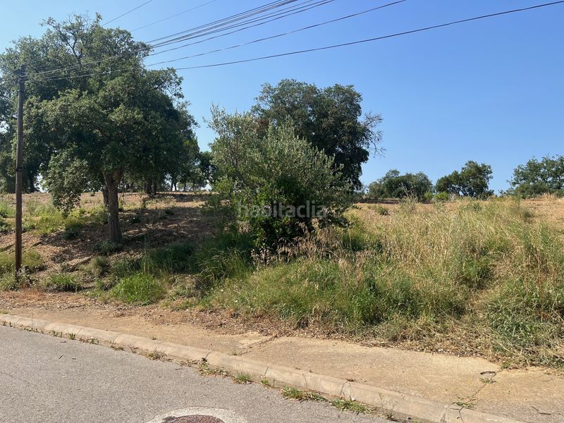 Foto 026ce368-4ac9-4138-9969-581126c7d4e2. Terreny residencial a urbanizacion mas llunes 1723 a Bescanó