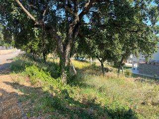 Terreny residencial a Urbanizacion mas llunes 1816. Venta parcela en urbanización mas llunes.