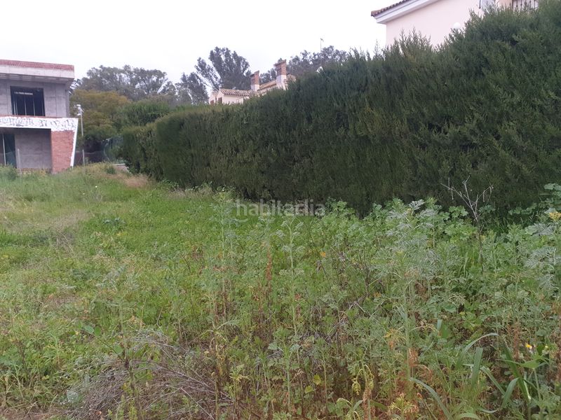 Foto 59a8a8a3-7582-49b8-8edb-5c756b2d69fe. Terreny residencial a Coria del Río