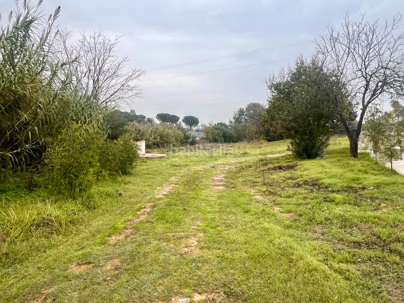 Foto 065a3380-1ac6-4ce8-9b65-740df92b58d7. Masía finca rústica de campo en Almonte Almonte