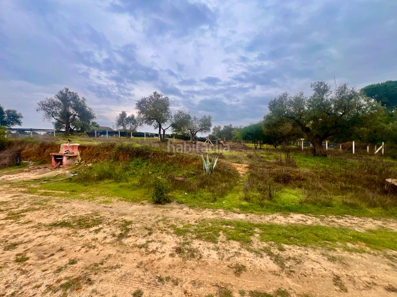 Foto 0bc5a297-cdd1-4d97-9fc7-d9e240243c36. Masía finca rústica de campo en Almonte Almonte