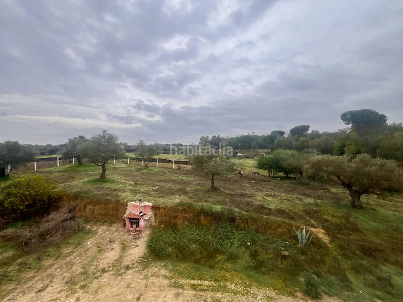 Foto 2bd210e5-e893-4cd9-bfc2-766515c1247d. Masía finca rústica de campo en Almonte Almonte