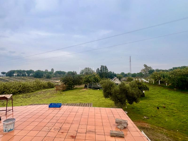 Foto 5c8c6953-6ddb-4d9e-9742-fbd6302792c0. Masía finca rústica de campo en Almonte Almonte