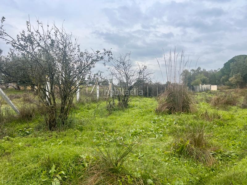 Foto 9fb0f0b1-453e-4bd1-93e5-25e223ade5b5. Masía finca rústica de campo en Almonte Almonte