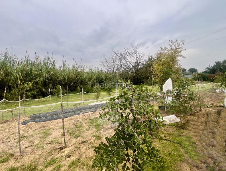 Foto a0e8f1c4-f7fc-474e-9454-d5542272612d. Masía finca rústica de campo en Almonte Almonte