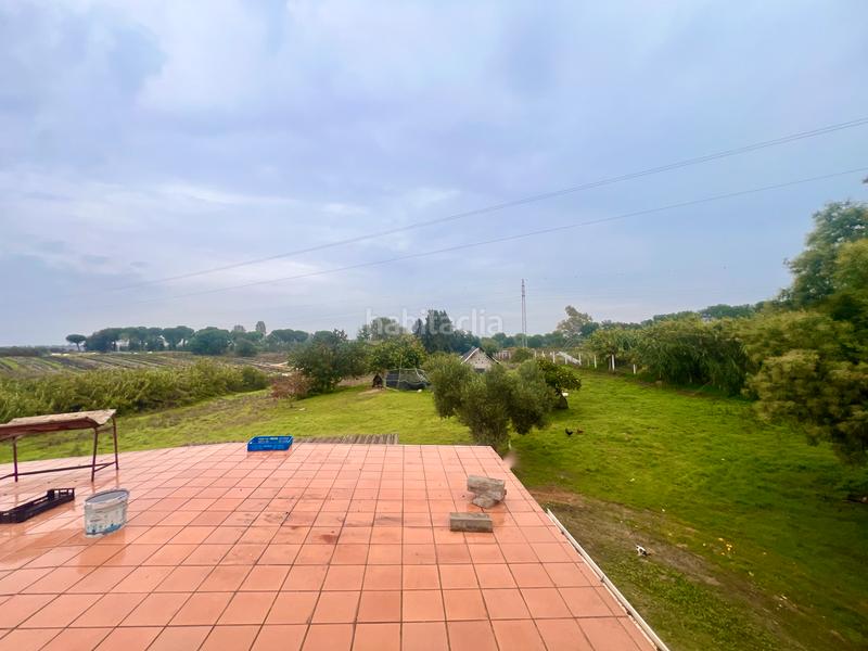 Foto c2c89f32-7e3c-48ee-9b53-a7b5e05fac47. Masía finca rústica de campo en Almonte Almonte