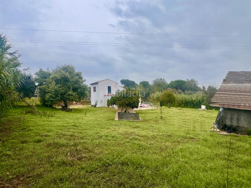 Foto e8b7cd88-9f28-4d98-a7b6-a9be42869baa. Masía finca rústica de campo en Almonte Almonte