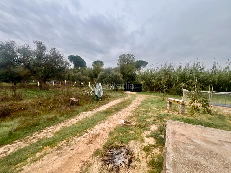 Foto fcfbc36b-8900-4202-a21c-370d69aabf47. Masía finca rústica de campo en Almonte Almonte