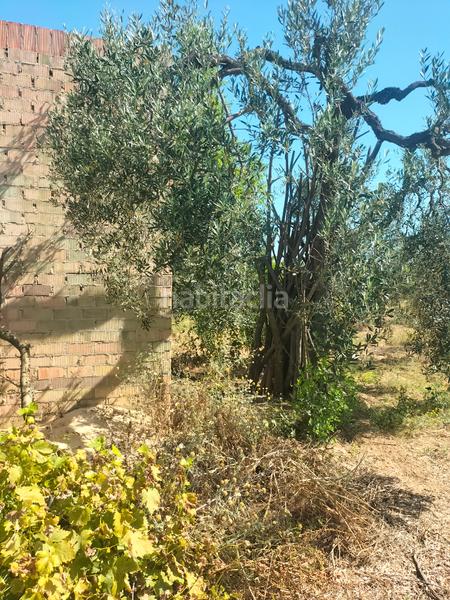 Foto 41de181b-f1cb-43b3-b055-3c96c63f2991. Finca rústica atención magnifica finca de olivos con pozo y caseta de aperos . en Bollullos de la Mitación