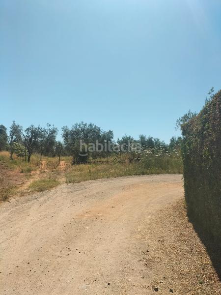 Foto 63c9e5b0-4f73-44a5-95b5-299e8a525a94. Finca rústica atención magnifica finca de olivos con pozo y caseta de aperos . en Bollullos de la Mitación