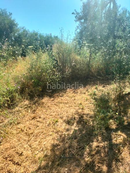 Foto 82f7554d-d44b-4ad7-9c18-2a1f9ca43c45. Finca rústica atención magnifica finca de olivos con pozo y caseta de aperos . en Bollullos de la Mitación