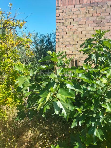 Foto ca46fdfb-3ab1-46d5-af06-bd02ecd2f54d. Finca rústica atención magnifica finca de olivos con pozo y caseta de aperos . en Bollullos de la Mitación