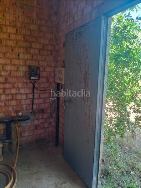 Foto e6a1fdce-b69c-40b0-87a0-bad06676b834. Finca rústica atención magnifica finca de olivos con pozo y caseta de aperos . en Bollullos de la Mitación