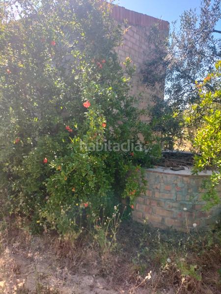 Foto e91f3fb3-1d4a-4b57-8f1b-6e6d4fb65be3. Finca rústica atención magnifica finca de olivos con pozo y caseta de aperos . en Bollullos de la Mitación