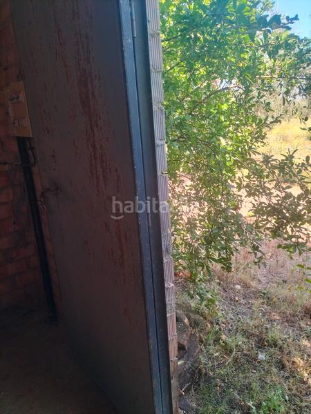 Foto efbb9fec-a31f-45a3-be99-43964cc188d5. Finca rústica atención magnifica finca de olivos con pozo y caseta de aperos . en Bollullos de la Mitación