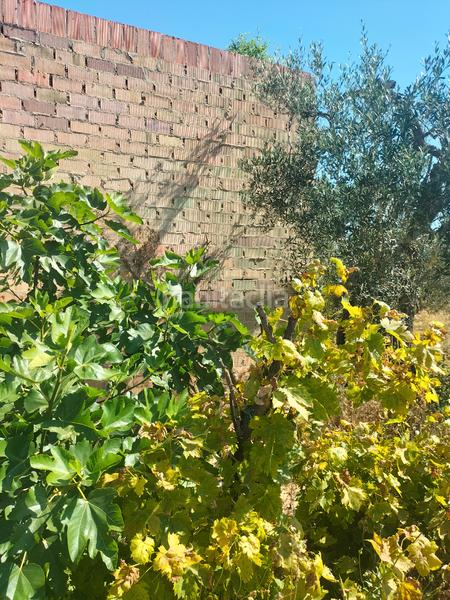 Foto fac828f7-8d2a-43a7-8808-1789f3a18c8d. Finca rústica atención magnifica finca de olivos con pozo y caseta de aperos . en Bollullos de la Mitación