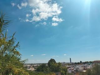 Terreny residencial a Calle caño ronco norte 61