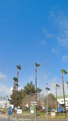 Solar industrial a Olivares