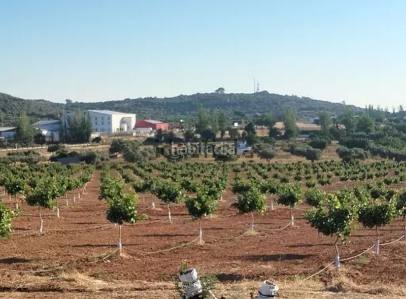 Foto 20dbfee1-7fdb-49c9-847e-f8d7e16c5593. Finca rústica a El Carmen Murcia