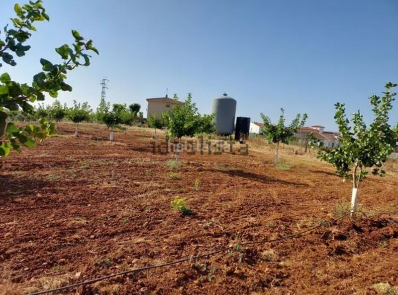 Foto d7242894-9e69-4a23-ae6f-84a986ee377c. Finca rústica a El Carmen Murcia
