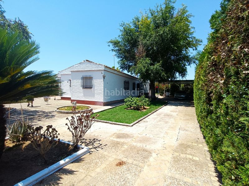 Foto 82d57b8b-9295-4826-912e-ce6165b387f4. Chalet  independiente en Loreto Espartinas