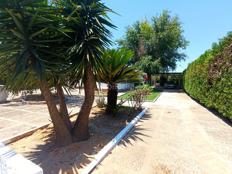 Foto f3868072-1b8e-4503-a4c2-94d6e4815ad8. Chalet  independiente en Loreto Espartinas