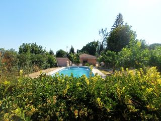Rural plot in Sanlúcar la Mayor. Finca rústica con chalet