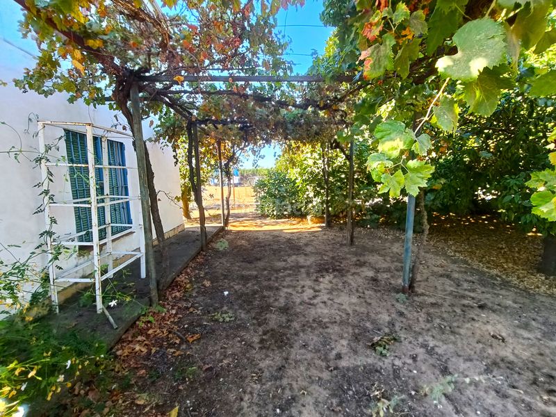 Foto 53cca063-8189-4c46-a5a1-fa6318a3bb8d. Finca rústica a Loreto Espartinas